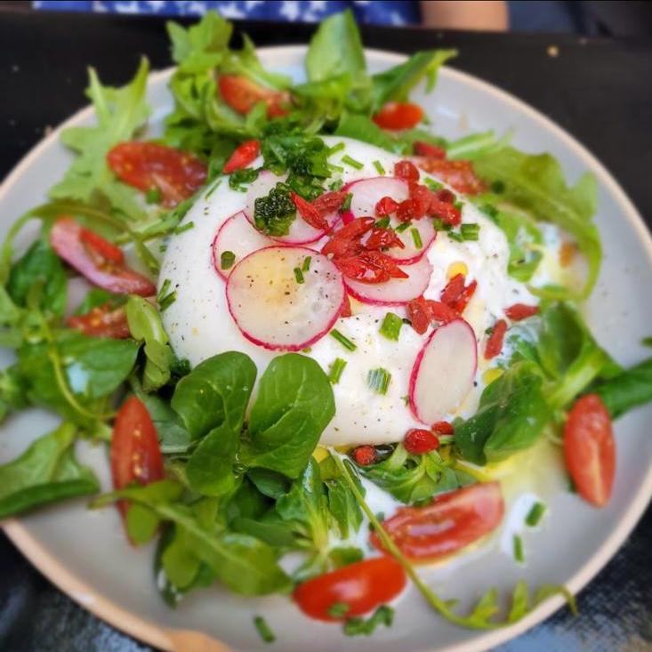 Burrata crémeuse sur lit de jeunes pousses et tomates